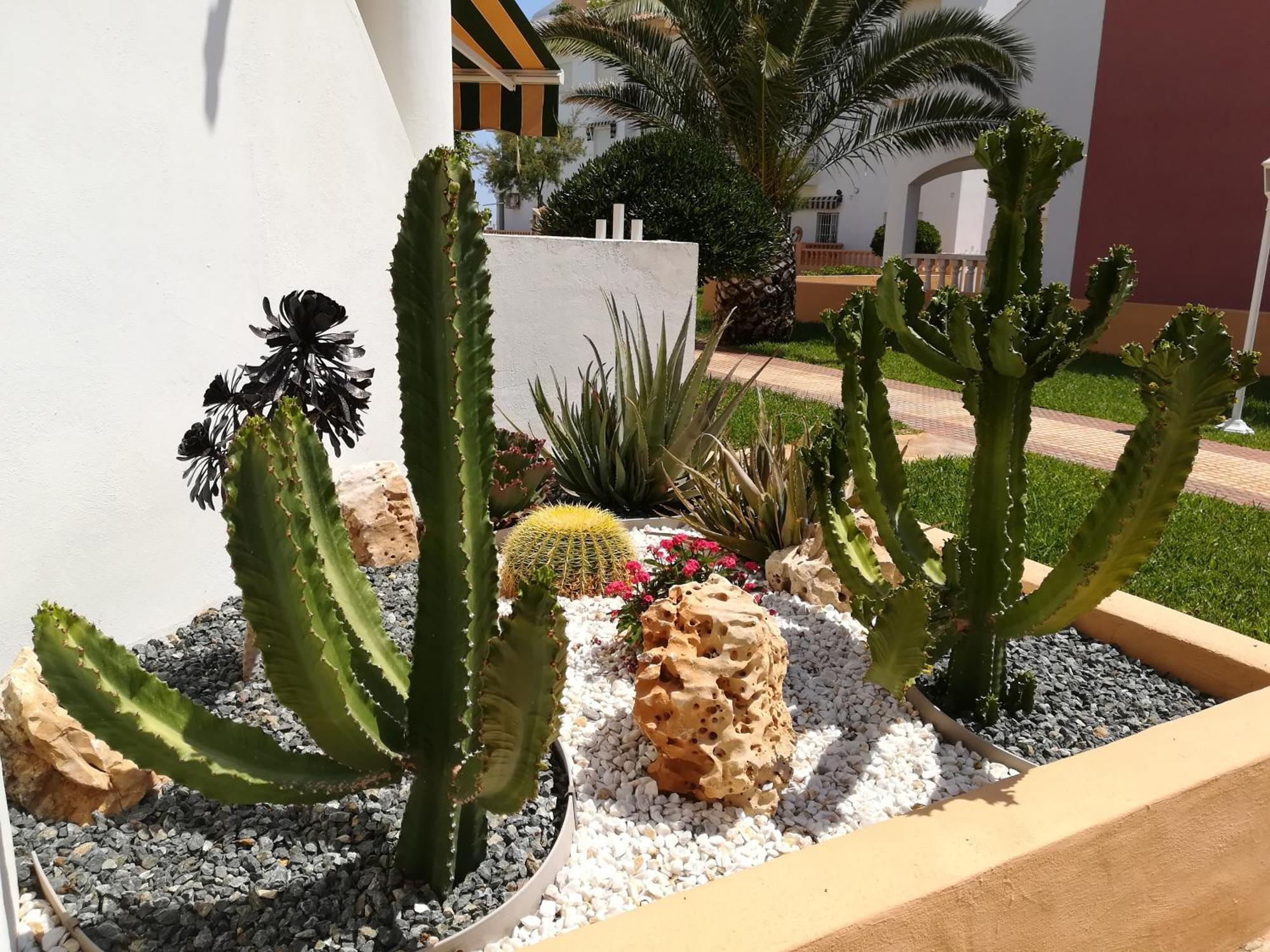 Apartamentos Talima - Btb Dénia Exterior foto